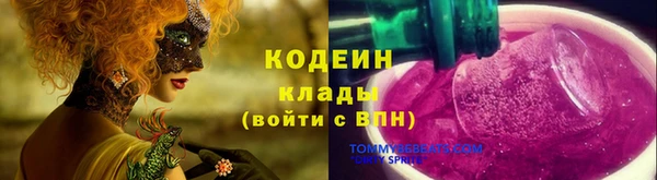 МДПВ Верхний Тагил