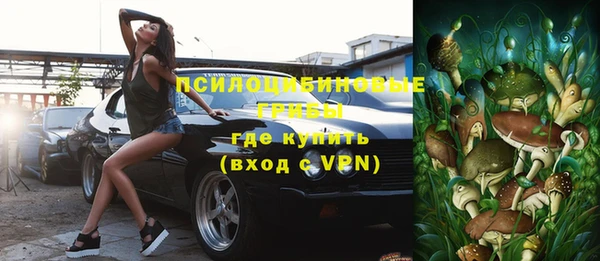 МДПВ Верхний Тагил