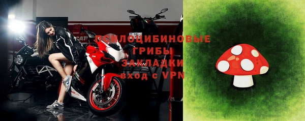 МДПВ Верхний Тагил