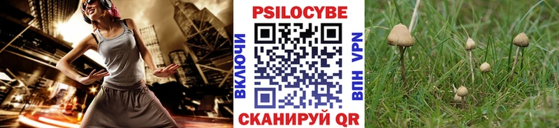 Галлюциногенные грибы Psilocybine cubensis  Купить  Правдинск 